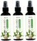 Lot de 3 engrais pour plantes d'intérieur en bois brésilien, engrais liquide pour bambou porte-bonheur, pour plantes d'intérieur en bois brésilien, de jardin 100 ml.
