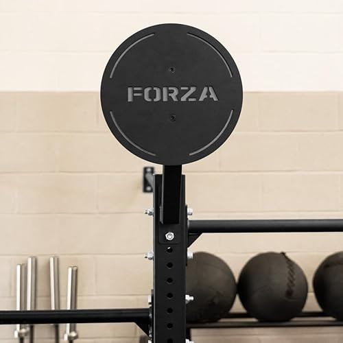 FORZA Wandkugel-Zielscheiben | Einzel- und Doppel-Stahlplatten für CrossFit & Funktionstraining | Schlagfest, pulverbeschichtet, Rig oder Wandmontage - Offizielle Höhen