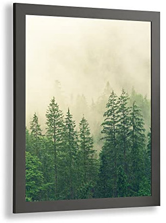 Monaldo Deluxe Bilderrahmen Posterrahmen 48 x 36 cm Farbe Graphit Wechselrahmen weisser Hintergrund Antireflex Kunstglas