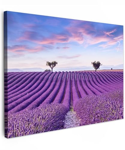 MuchoWow© Impression sur Toile Decoration Murale Peinture 40x30 cm Tableaux Decoratifs Muraux Déco Chambre Tableau Salon Lavande - Nature - Pourpre - Arbres - Fleurs