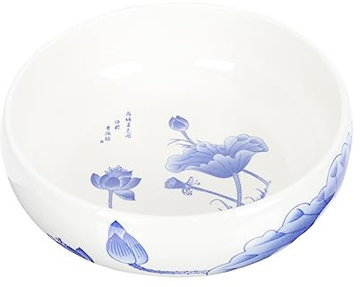 KITANDOVE Fioriera Ceramica Per Piante Grasse e Fiori Decorazione Per Interni Ed Esterni Design Creativo e Contenitore Resistente e Pratico Perfetta Per Uffici Balconi e Giardini