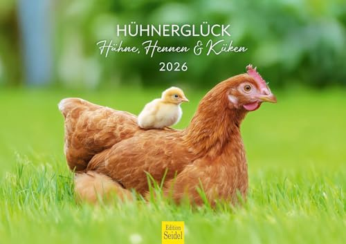 Edition Seidel Premium Kalender Hühnerglück 2026 Format DIN A3 Wandkalender Tierkalender Hühnerkalender Haustiere Huhn Hahn Kücken Vögel