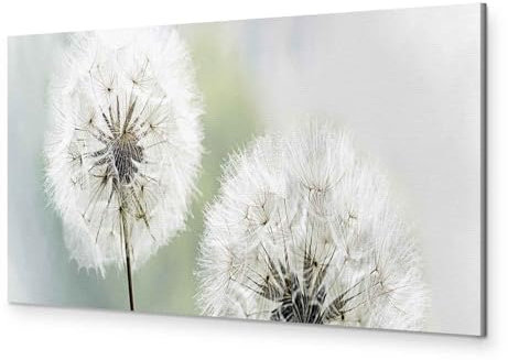 murando - Wandbilder Groß XXL Pusteblume 135x45 cm 1 tlg Wand Deko Leinwand Bilder Groß Wanddeko Wohnzimmer Schlafzimmer Kunstdrucke Panoramabild - Blumen Natur Grau Grün b-B-0223-b-c