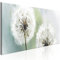murando - Wandbilder Groß XXL Pusteblume 135x45 cm 1 tlg Wand Deko Leinwand Bilder Groß Wanddeko Wohnzimmer Schlafzimmer Kunstdrucke Panoramabild - Blumen Natur Grau Grün b-B-0223-b-c