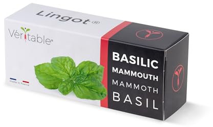 Lingot® Basilic Mammouth - Compatible Potager d'Intérieur Véritable® et Exky® - Recharge prête à l'emploi - Substrat avec Graines Intégrées