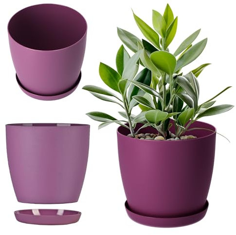 KADAX Blumentopf, Pflanzkübel mit Untersetzer, runder Blumenkübel aus Kunststoff, Matte Topf für Kakteen, Farne, glänzender Übertopf für Balkon, Wohnung und Terrasse (⌀ 25cm, Pflaume)
