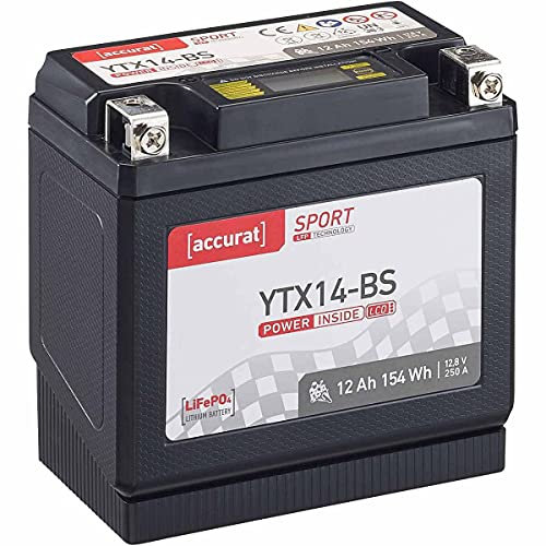 Accurat Motorradbatterie YTX14-BS - 12V, 12Ah, 250A, vorgeladen, wartungsfrei, LCD Display - Starterbatterie, LiFePO4 Batterie in Erstausrüsterqualität für Rasentraktor, Roller, Motorrad, Quad