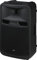 IMG STAGELINE PAK-412 Aktive Power-PA-Lautsprecherbox mit 2-Kanal-Verstärker, 450 W schwarz