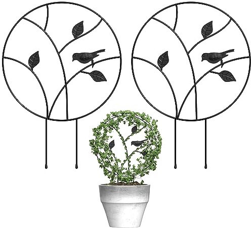 Ailibre Rankgitter aus Metall mit Vogel für Kletterpflanzen