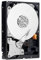 Western Digital WD2500AVCS - Disco Duro sólido Interno SSD de 250 GB