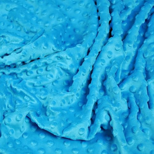 Textrend Microfaser-Plüsch - Minky-Stoff als Meterware - Stoff Shorty als Meterware in vielen Farben - Textilien 1x1.60m - Stoffe Meterware (Azurblau)
