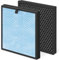 AP303 AP304 Ersatzfilter, kompatibel mit Dayette & Freshdew Luftreiniger AP303/AP304, H14 HEPA-Filter mit Aktivkohle, 2 Stück (Wildfire Filter)