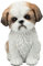 Figuren Shop GmbH Deko Hund Shi Tzu – Niedliche Hundefigur, Tierfigur Welpe sitzend, Dekofigur Haustier Skulptur, 14,5 cm