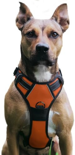 No Pull Hundegeschirr, Verstellbar Atmungsaktiv Reflektierend Weich Gepolstert Hunde Geschirr, Brustgeschirr für Hunde (Orange, L)