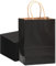 Gcardist 16Pcs Kraft Taschen Taschen mit Griffen 21x15x8cm Kleine Geschenk Party Taschen Schwarz Shopping Treat Taschen Mehrere Verwendungen (8.3x6x3Inch, Kleine Größe)