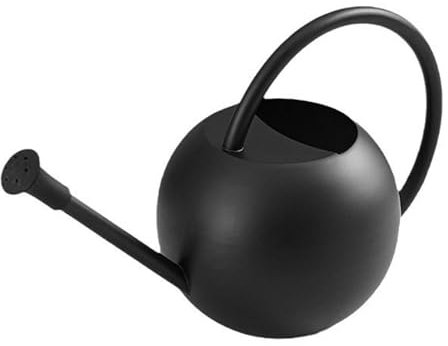 Regadera de jardín, hervidor de jardín, regadera de plantas, elegante hervidor de acero inoxidable para suculentas, lata de jardín pequeña con cabezal de ducha, regadera de flores compacta negra de