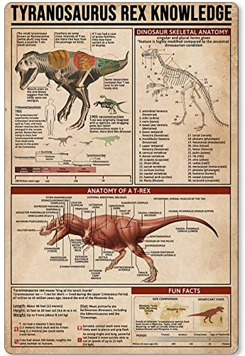 KWQDOZF Metallschild Tyrannosaurus Rex, Wissen, Anatomie eines T-Rex, Tier-Infografik, Poster, Plakette für Bauernhof, Zuhause, Küche, Bar, Club, Zuhause, Wanddekoration, 30,5 x 45,7 cm