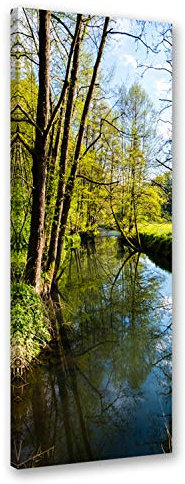 Feeby Bilder Wald 50x150 cm 1 Teilig Wohnzimmer Schlafzimmer Büro Küche Wandbilder Leinwandbilder Modern Bild auf Leinwand Wanddekoration Kunstdruck Design Natur Grün
