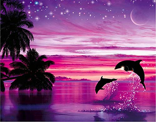 Bimkole DIY 5D Diamond Painting Zubehör Sonnenuntergang Delphin, haitianisch Diamant Malerei Kit Voll Runde Bohrer Malen nach Zahlen Malerei Stickerei Kreuzstich Diamond Dekoration, (40x50 cm)