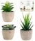 Lot de 3 plantes succulentes artificielles avec pot - Plantes décoratives - Pour salon, salle de bain, bureau