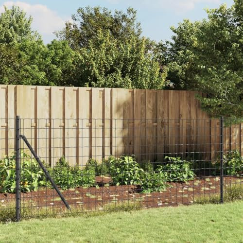 SECOLI Maschendrahtzaun Gartenzaun Set Komplettset Zaun Gartenzaunset Zaunset Drahtzaun Maschendraht Absperrzaun -Anthrazit-0.8 x 25 m