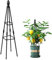 Jardín Obelisk Enrejado, Enrejado de obelisco, Soporte de Plantas de 31.5 Pulgadas con Refuerzo de Anillo, a Prueba de óxido ＆ fácil de Instalar Metal para Flores, Vegetales, Frutas, jardín