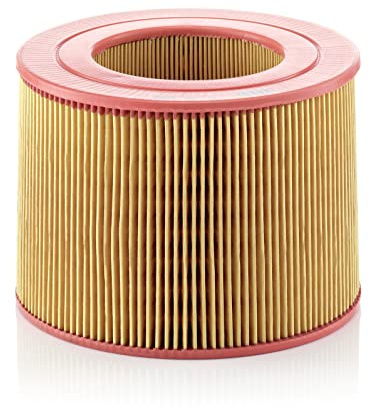 Mann Filter C20189 Air Filter
