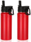 Volhoply 18oz Insulated Water Bottle 2 Pack, Multipack Kids Stainless Steel Water Bottles with Straw Lid, Double Wall Vacuum Metal Bottle (Red,2 Pack)