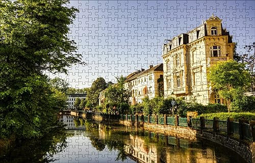 GUOHLOZ 1000-teiliges Puzzle für Erwachsene,Mini-Puzzle,tolles herausforderndes Puzzle,schwieriges Mini,Heimdekoration,Kunsthandwerk Deutschland,Bonn,Botanischer Garten Bonn,75x50cm