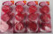 Sanicare Pink Toilet Cleaner Blocks – 24 Block Multi-Pack (4 x 6 Packs) | Long Lasting Fragrance, Limescale Prevention, Cleans with Every Flush – 38g Each