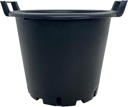 Heavy Duty 30L Plant Pots Potato Containers With Handles Buckets Plastic Planters - Large Planter Pots for Gardens - Flowers, Vegetables & Trees (30 L, Pack of 6)