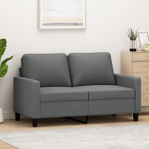 SECOLI Sofa 2 sitzer Sofa 2er Sofa 2 sitzer Stoff Couch 2 sitzer 2er Couch Sofa klein Stoff Sofa für Wohnzimmer/Schlafzimmer/Büro/Wohnung-Dunkelgrau-2-sitzer:120cm