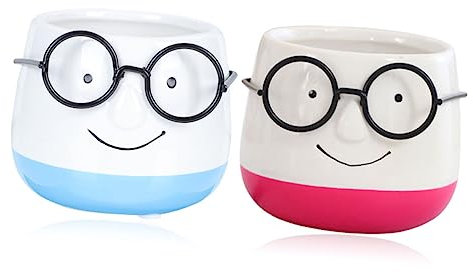 Hemobllo 2Pièces Pot Céramique Dessin Animé Lunettes Petit Pot Décoratif pour Plantes Fleurs