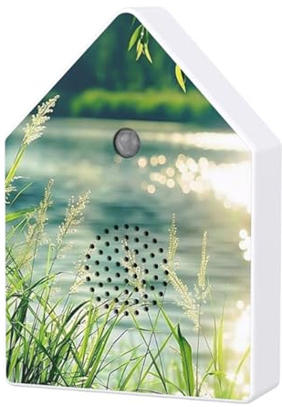 Protoence Singende Vogel-Box | Entspannende Musik mit Zeitschaltuhr | Naturzwitscherbox mit Bewegungssensor - Für Zuhause, Garten, Schlafzimmer, Badezimmer, Yoga, Spa, Meditation Und Reisen