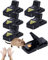 DANIQ Mouse Traps, 6 Pack, Reusable Snap Traps, Easy to Bait, Fast, Effective, and Extremely Sensitive Rodent Catcher.