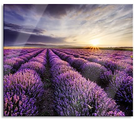 Traumhafte Lavendel Provence Herdabdeckplatte & Spritzschutz aus Echtglas | Für Herd-Kochfelder | 60x52 cm