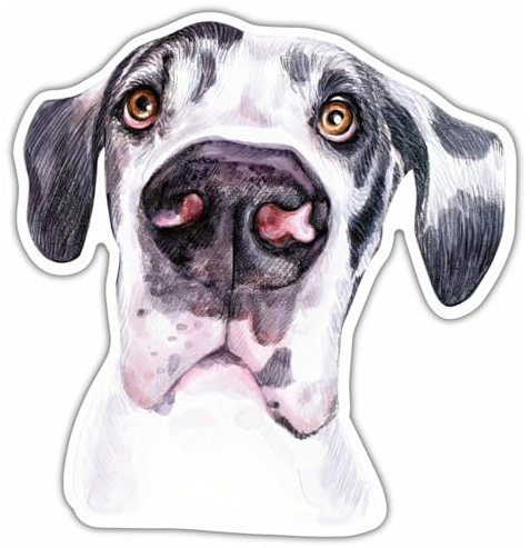 Samunshi® Deutsche Dogge Aufkleber Car Decal Sticker für Mofa Fahrrad Roller oder Auto Sticker Fahrrad Mtb Mountainbike Rennrad Hund Dog Dogo 30cm Deutsche Dogge