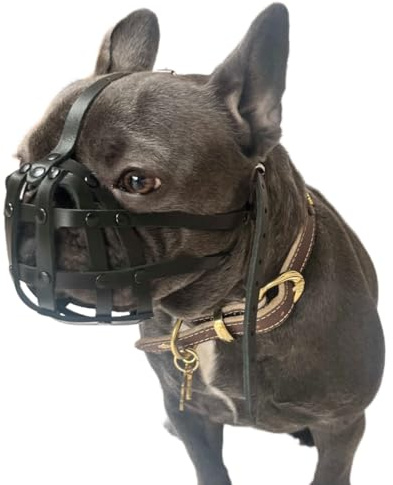 L&J Pets Uk Maulkorb für Französische Bulldogge, leichtes Leder (FB2, Schwarz)
