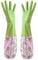 TRIXES Gants longs en caoutchouc pour bassin et vidange - Tâches ménagères et de jardin, désherbage, lavage, nettoyage et lavage de la vaisselle - Protection supplémentaire des manches