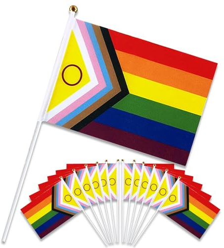 MaNeaz 12 Piezas 14 * 21cm Bandera Orgullo Gay Pride Flag Banderas Pequeñas Orgullo Banderas LGBTQ Miniatura Eventos, Celebraciones, Accesorios Bandera en un Palo(A)