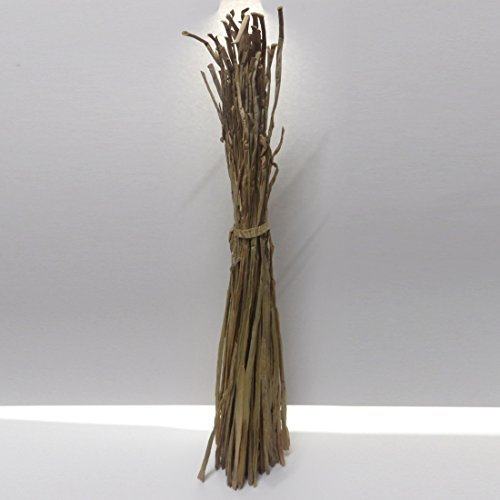 CSB-Center Wasserhyazinthe Wasser-Hyazinthe Flechtmaterial 40-80cm 500g Bund
