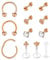 Rajnard 12 STK Helix Tragus Piercing Rosegold Cartilage Ohrstecker Ohrring Chirurgenstahl Knorpel Ohrpiercing 16G CZ Lippenpiercing Barbell Piercing Labret Monroe Schmuck Damen Männer