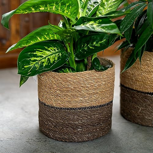 DARO DEKO Seegras Korb rund dreifarbig Ø 23 x 21 mit Einsatz Blumentopf geflochten Aufbewahrungskorb Über-Topf Blumenkorb