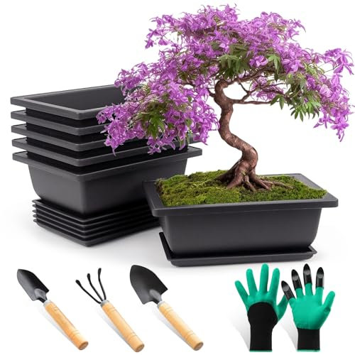 FSWWSF 6 cuencos para bonsái con posavasos, maceta para bonsái, maceta de plástico profunda, para jardín, plantas, patio, sala de estar, balcón, oficina