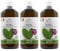 Benessence - Nopal – JKaktusfeigensaft zum Trinken mit 99,5% - 3L
