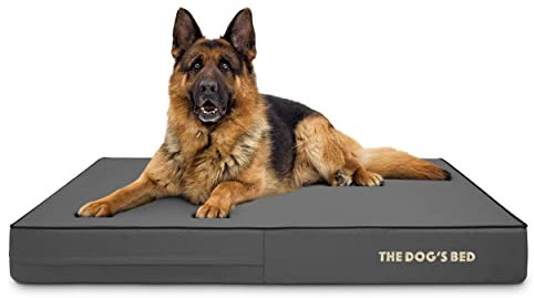 The Dog’s Bed Orthopaedic Memory Foam Dog Bed with Enhanced Support, XL Grey with Black Trim, Waterproof, Supportive Dog Bed with Replaceable Covers