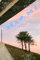 MIAMI: Cosmopolitan Metropolitan City Life | View of Overpass Road Pink Blue Sky Colors & Palm Tree | 119-Paged, Lined Paperback Notebook | For ... Writing | Independent Cover Art Design