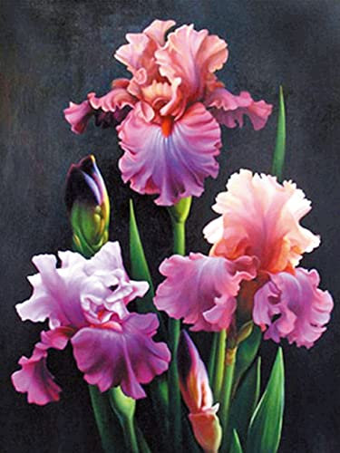 OWN4B Kreuzstich-Set, geprägt, schöne Blumen, gedrucktes Muster, 11-fädig, 36,1 x 46 cm, DIY-Stickset (Blumen)