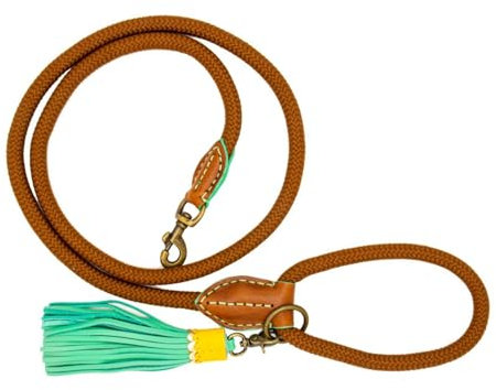 Dog with a Mission DWAM Hundeleine – Leine für Hunde – Braun – Polyester - Leder - Tau – L – 155 x 1,4 cm – Rover