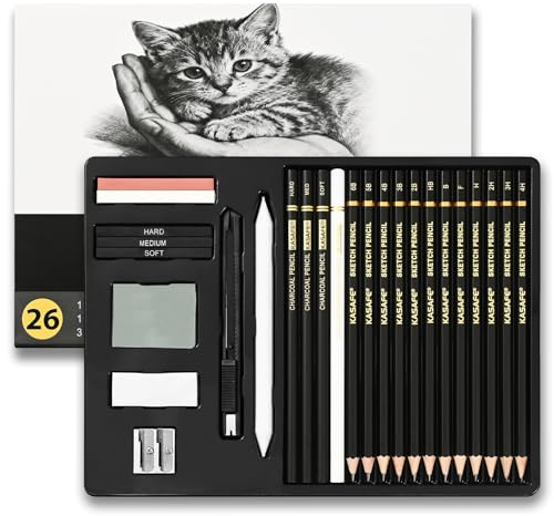 26-Piece Sketch Pencils Set, Sketching Drawing Pencil Set - 12 Graphite (6B-4H), 4 Charcoal (White/Soft/Medium/Hard), Erasers, Sharpener - Non-Toxic Art Supplies for Beginners to Pros, All Ages